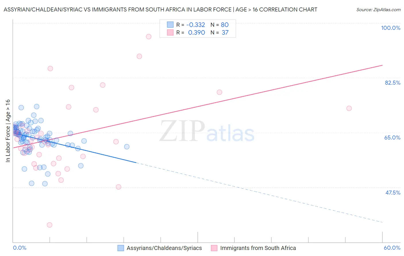 Assyrian/Chaldean/Syriac vs Immigrants from South Africa In Labor Force | Age > 16