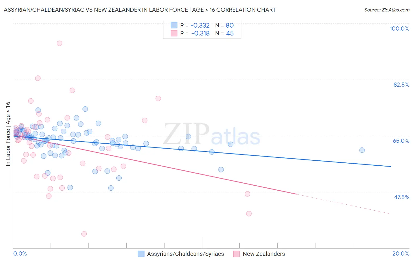 Assyrian/Chaldean/Syriac vs New Zealander In Labor Force | Age > 16