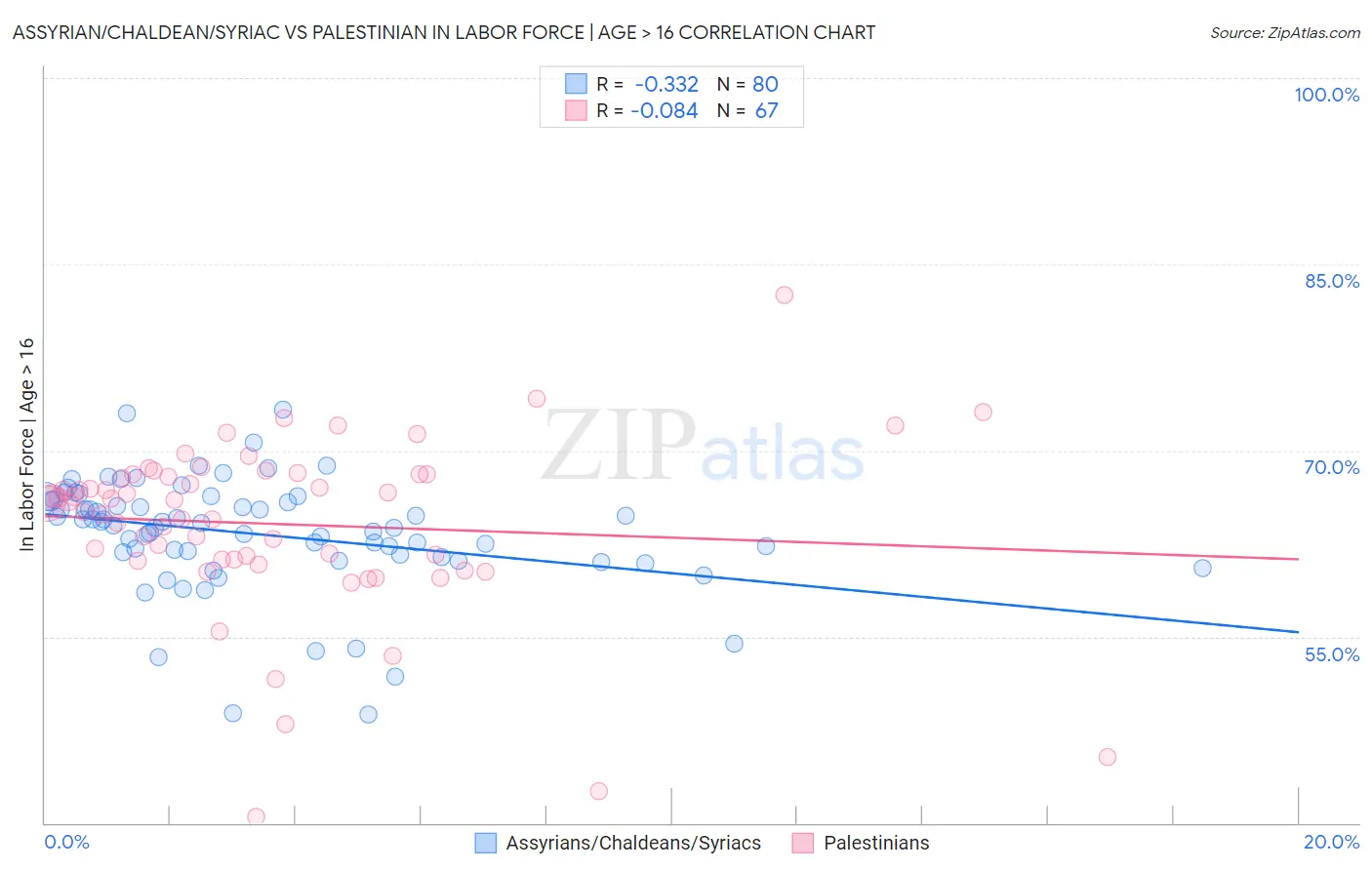 Assyrian/Chaldean/Syriac vs Palestinian In Labor Force | Age > 16