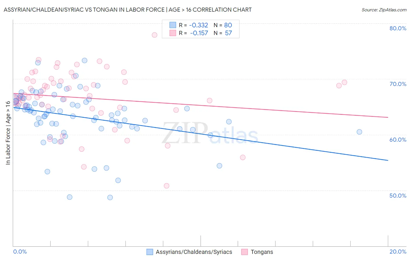 Assyrian/Chaldean/Syriac vs Tongan In Labor Force | Age > 16