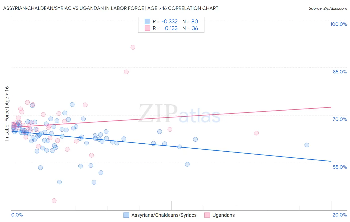 Assyrian/Chaldean/Syriac vs Ugandan In Labor Force | Age > 16