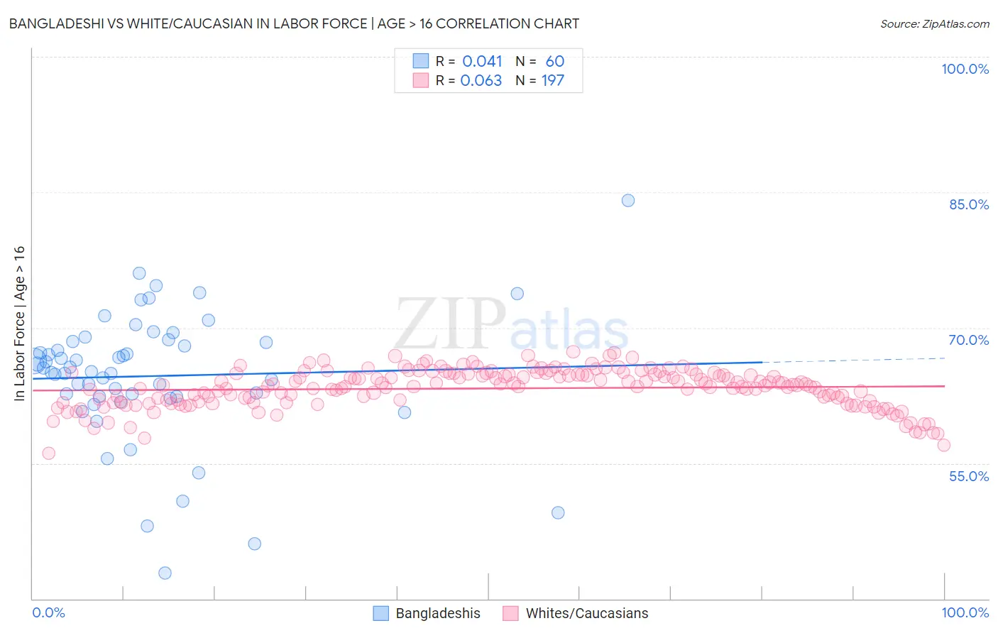 Bangladeshi vs White/Caucasian In Labor Force | Age > 16