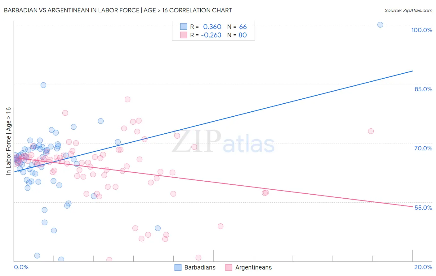 Barbadian vs Argentinean In Labor Force | Age > 16