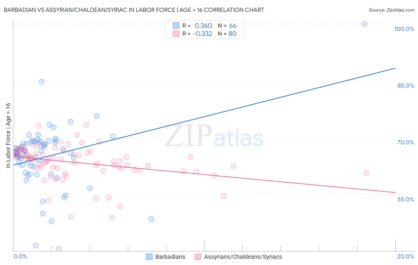 Barbadian vs Assyrian/Chaldean/Syriac In Labor Force | Age > 16