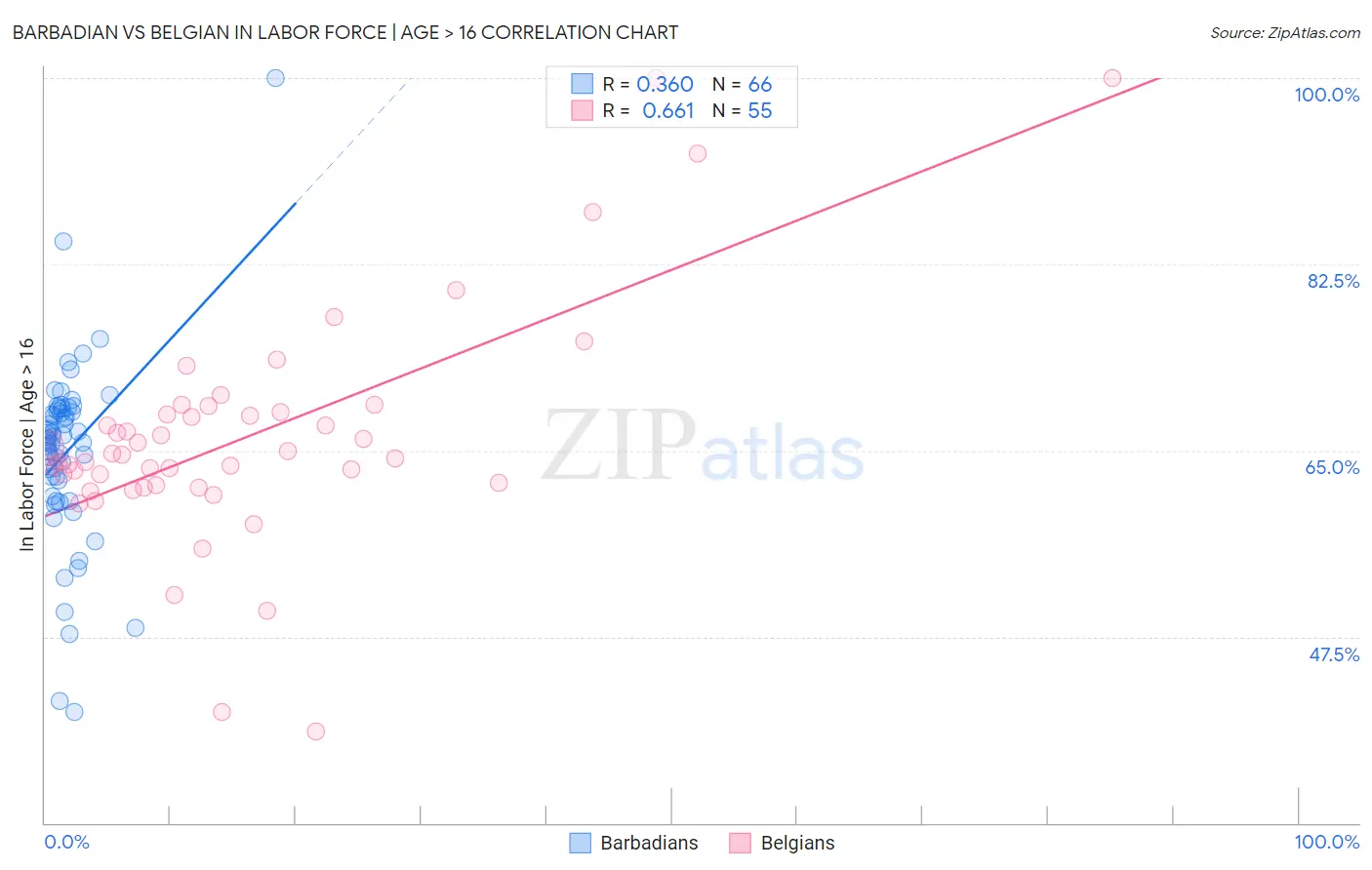 Barbadian vs Belgian In Labor Force | Age > 16