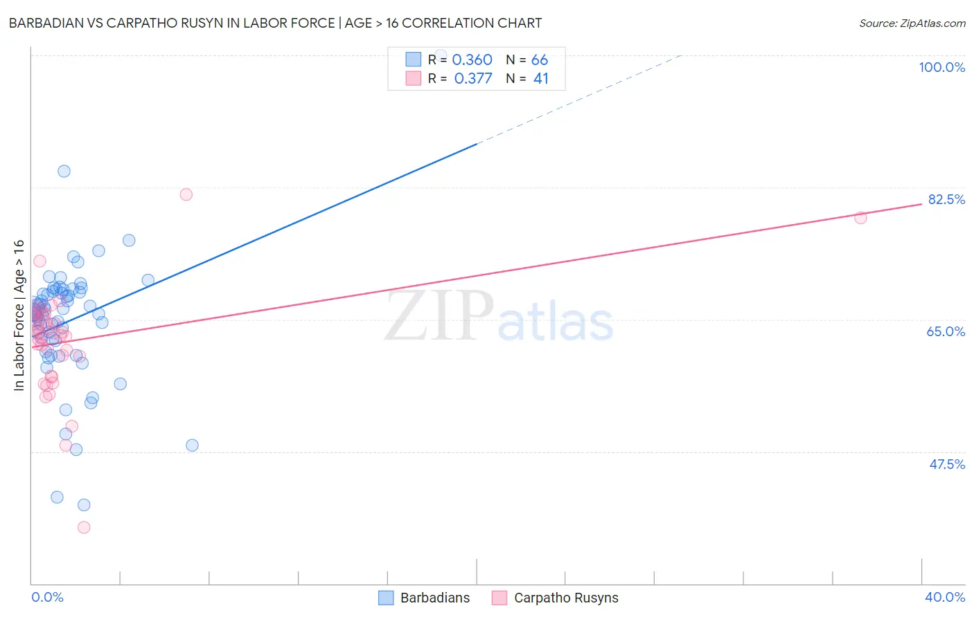 Barbadian vs Carpatho Rusyn In Labor Force | Age > 16
