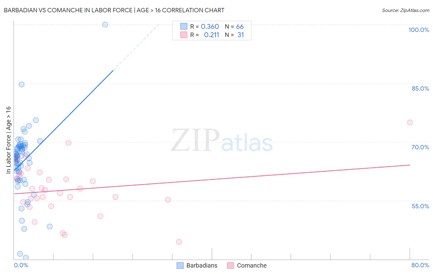 Barbadian vs Comanche In Labor Force | Age > 16