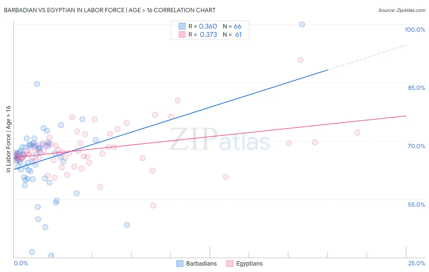 Barbadian vs Egyptian In Labor Force | Age > 16