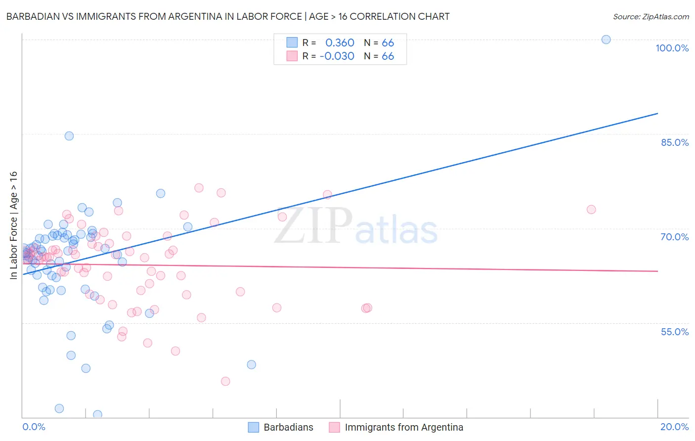 Barbadian vs Immigrants from Argentina In Labor Force | Age > 16