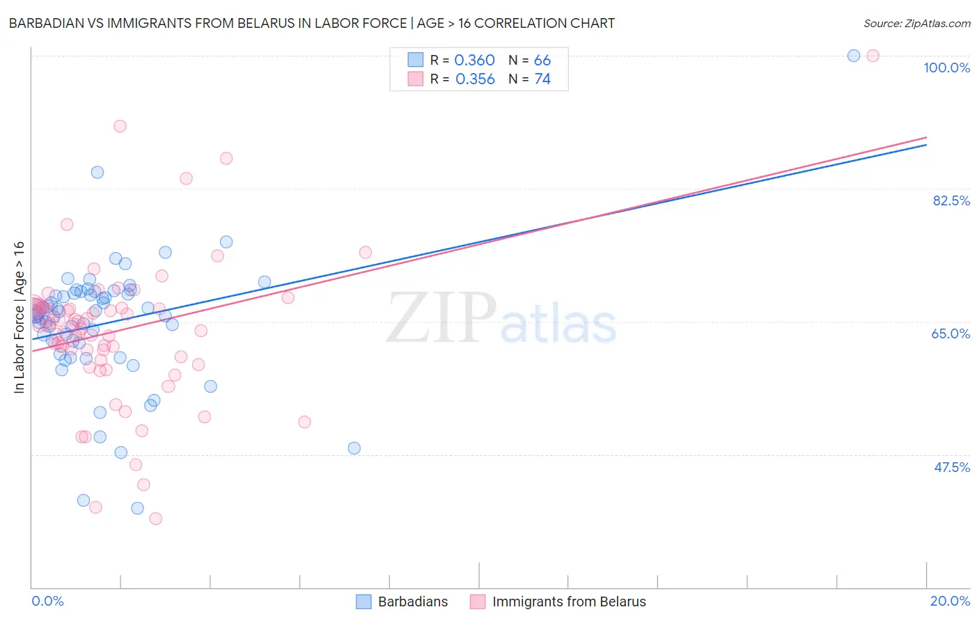 Barbadian vs Immigrants from Belarus In Labor Force | Age > 16