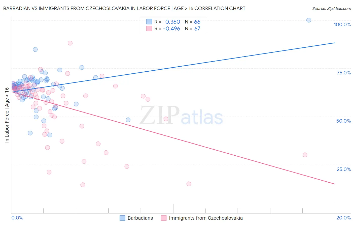 Barbadian vs Immigrants from Czechoslovakia In Labor Force | Age > 16