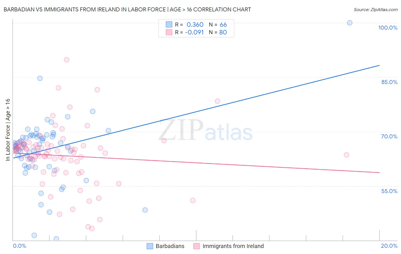 Barbadian vs Immigrants from Ireland In Labor Force | Age > 16