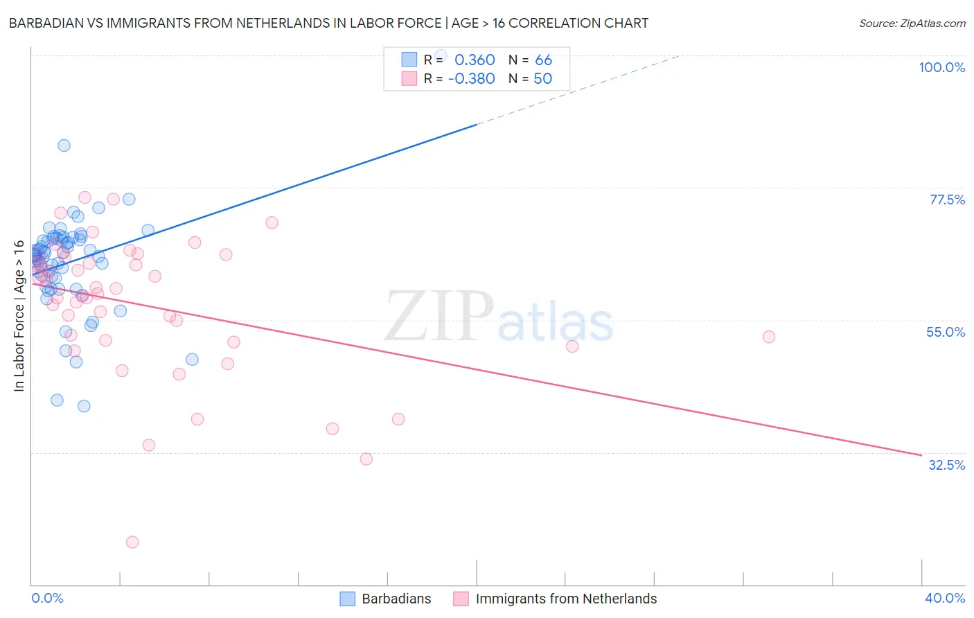 Barbadian vs Immigrants from Netherlands In Labor Force | Age > 16