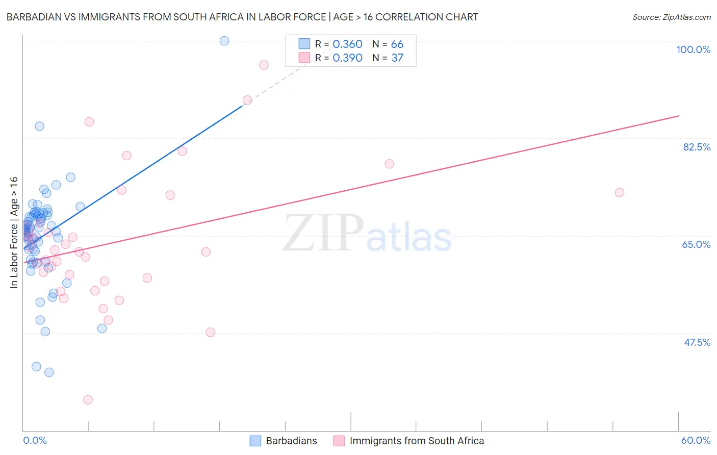 Barbadian vs Immigrants from South Africa In Labor Force | Age > 16