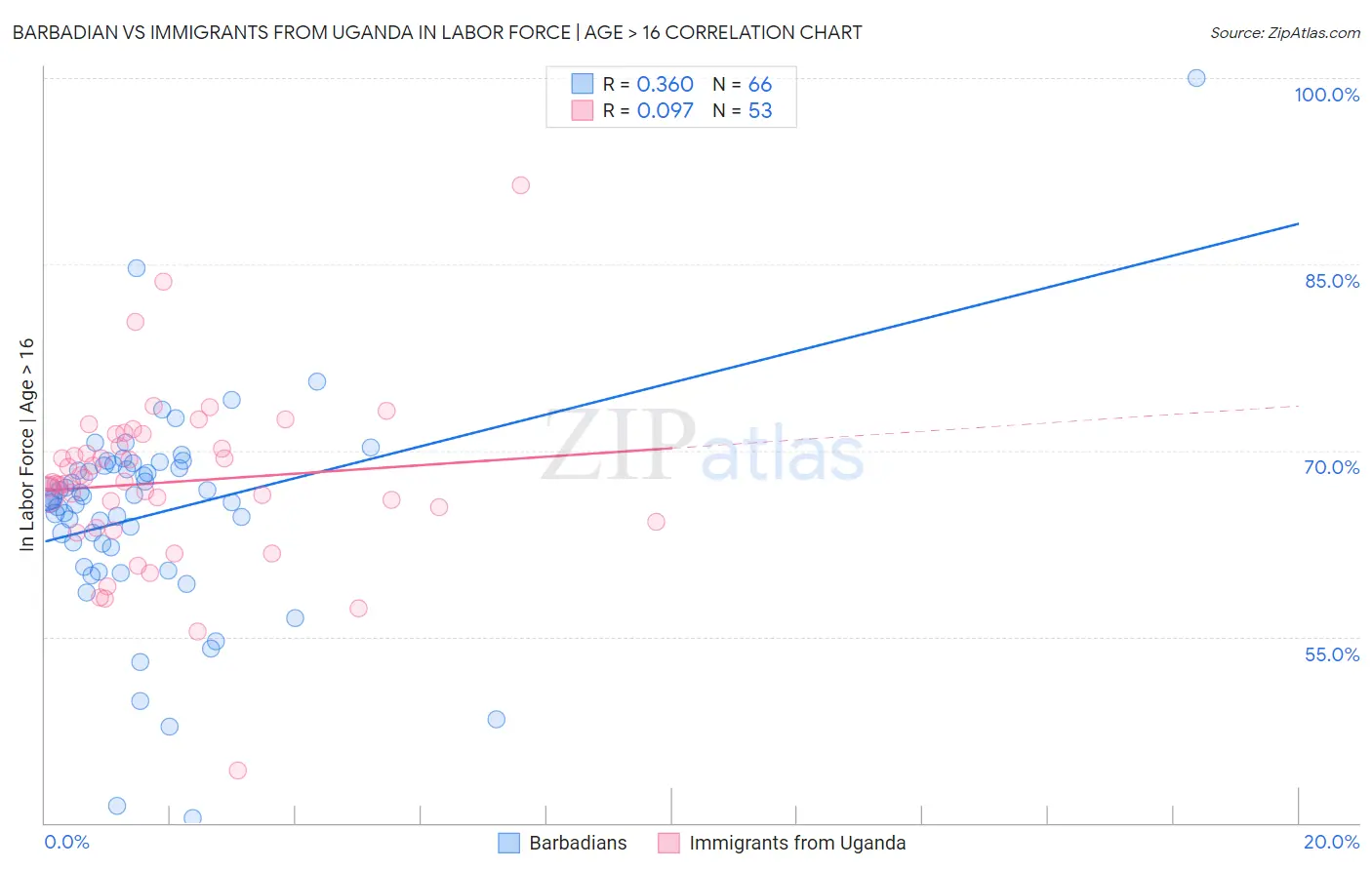 Barbadian vs Immigrants from Uganda In Labor Force | Age > 16