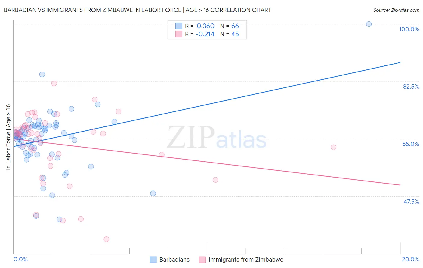 Barbadian vs Immigrants from Zimbabwe In Labor Force | Age > 16