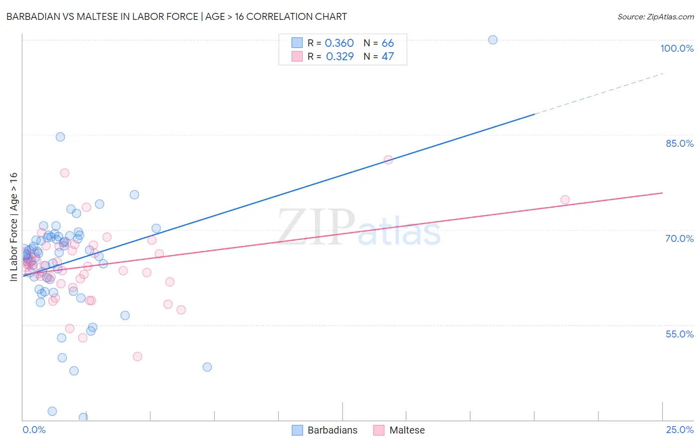 Barbadian vs Maltese In Labor Force | Age > 16