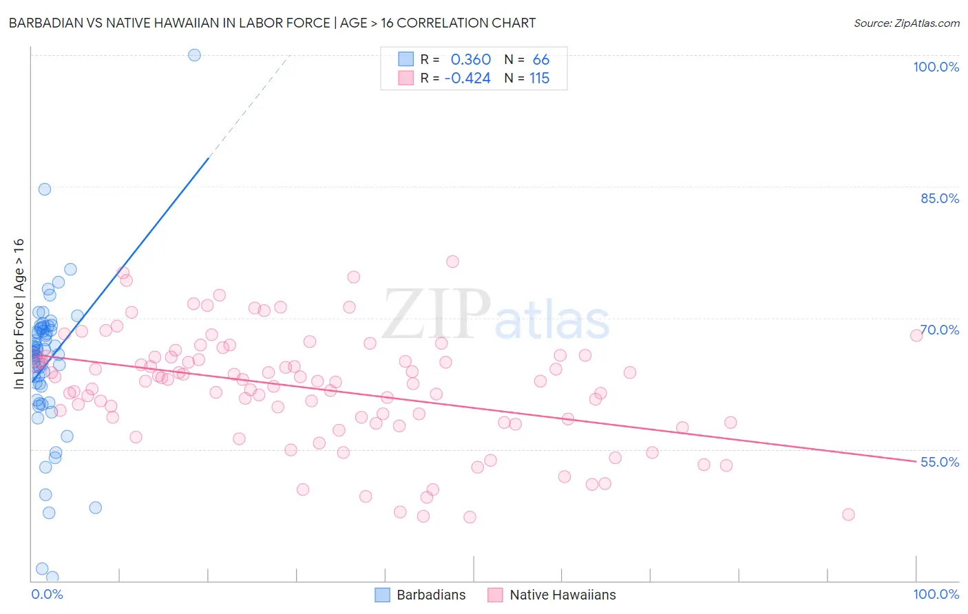 Barbadian vs Native Hawaiian In Labor Force | Age > 16