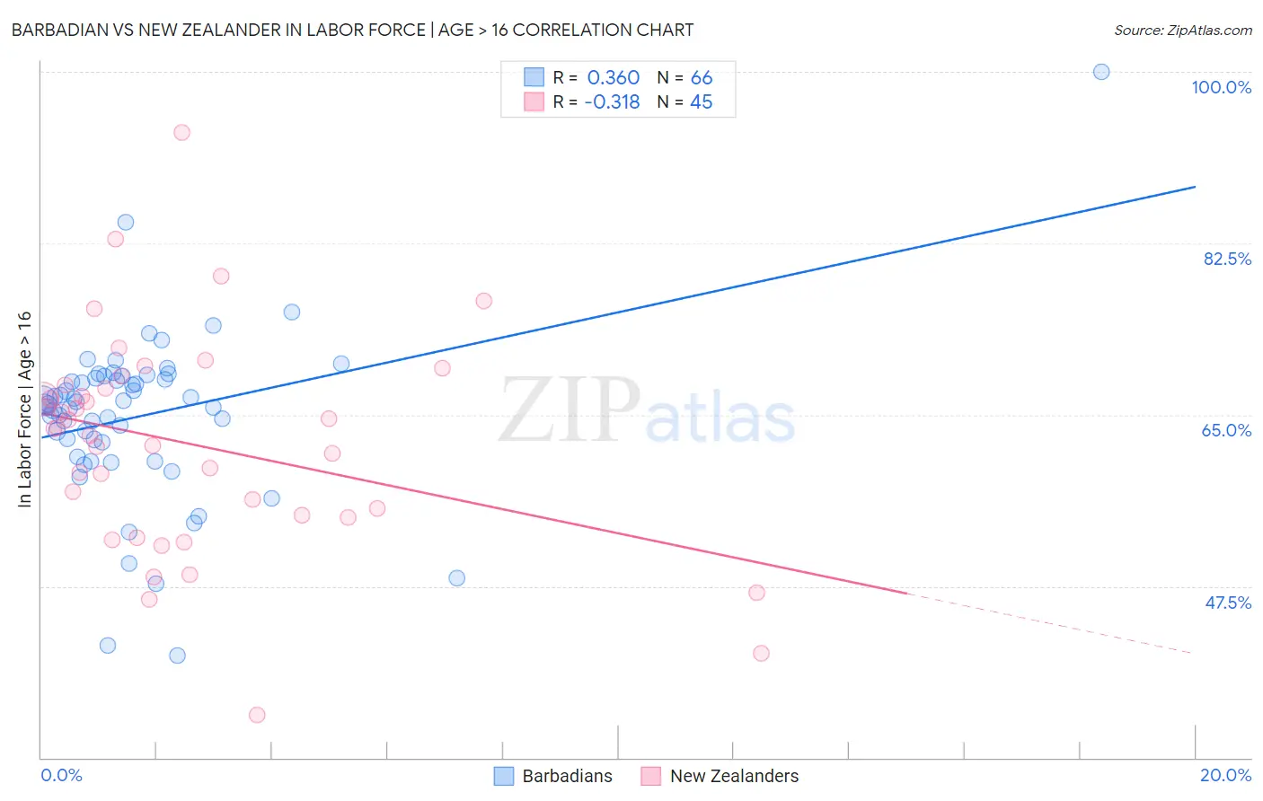 Barbadian vs New Zealander In Labor Force | Age > 16