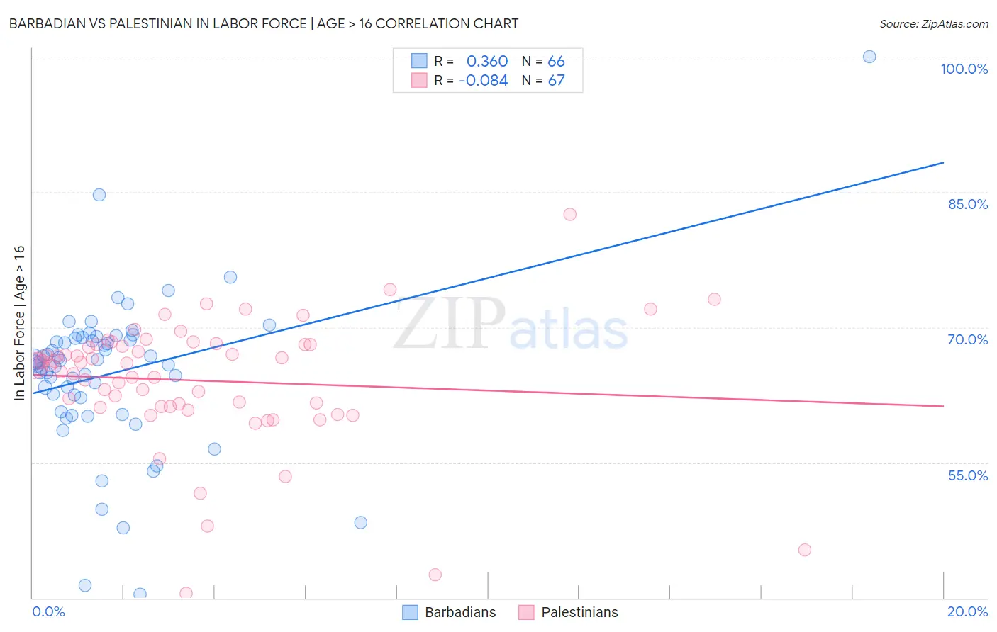 Barbadian vs Palestinian In Labor Force | Age > 16