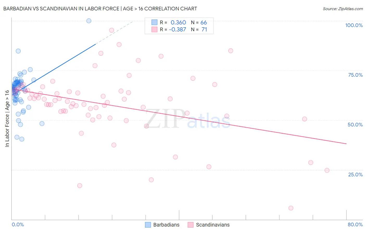 Barbadian vs Scandinavian In Labor Force | Age > 16