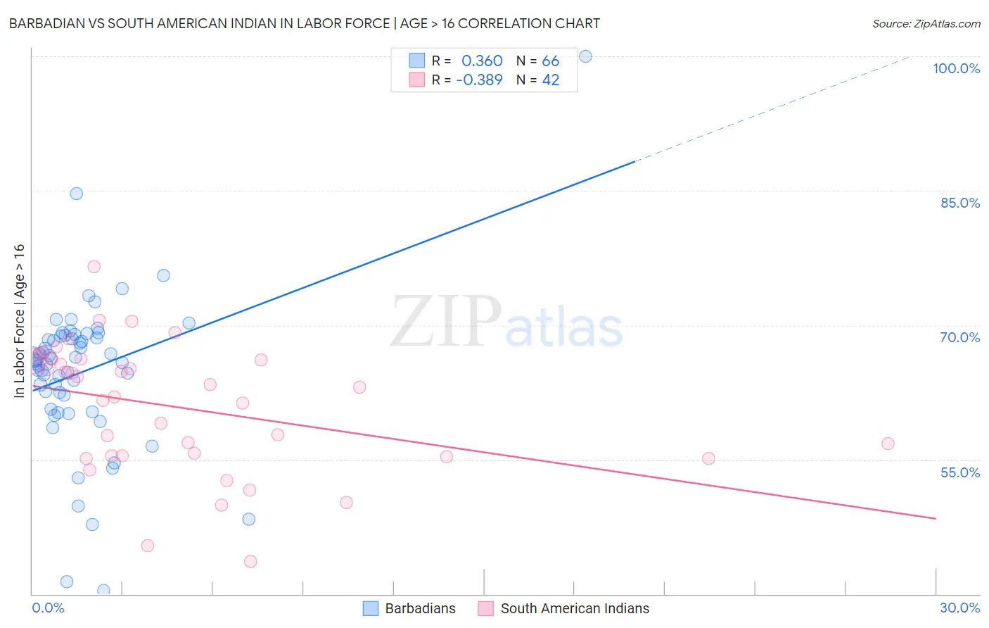 Barbadian vs South American Indian In Labor Force | Age > 16