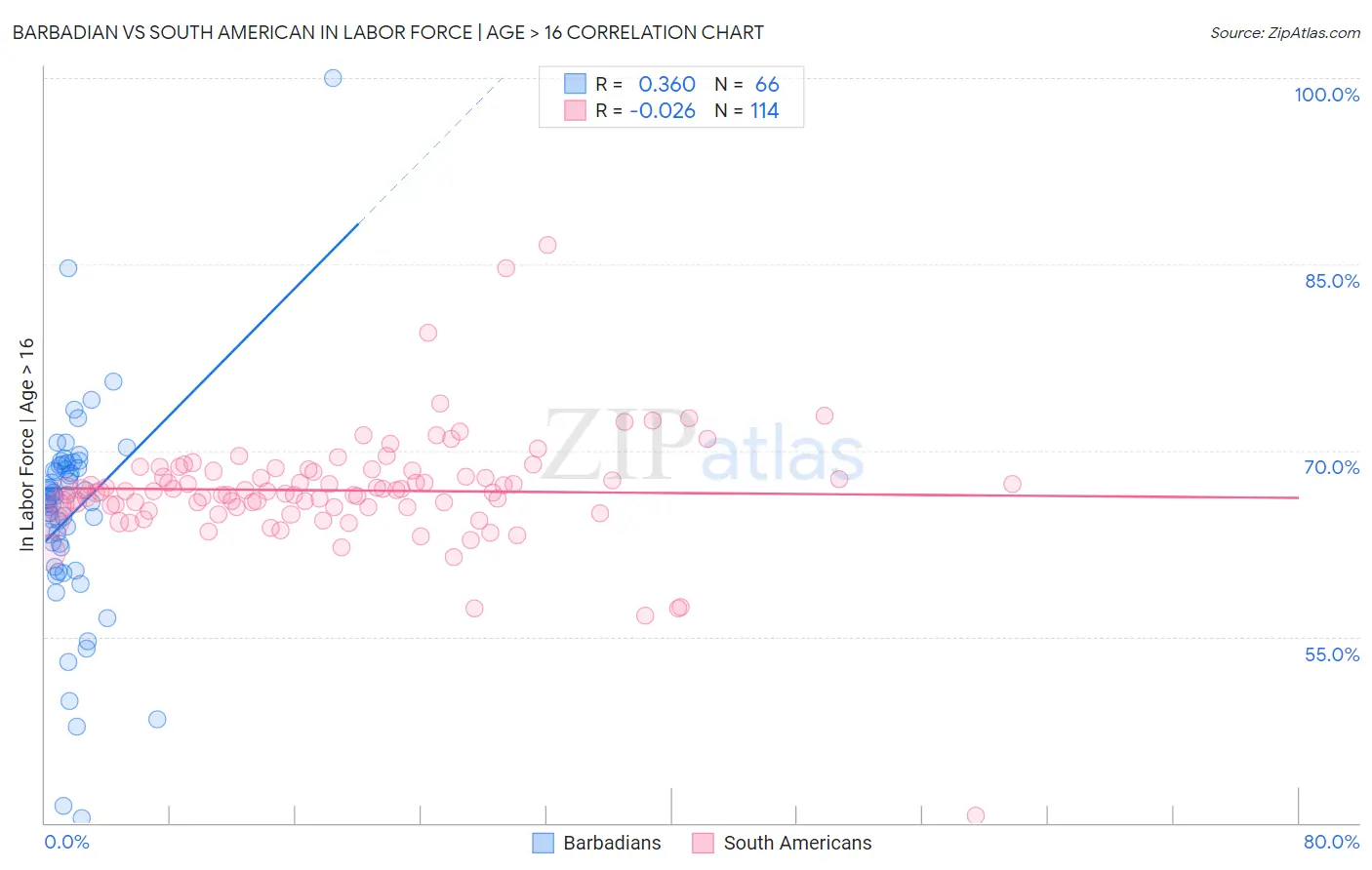 Barbadian vs South American In Labor Force | Age > 16