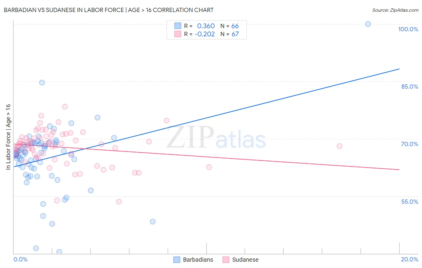 Barbadian vs Sudanese In Labor Force | Age > 16