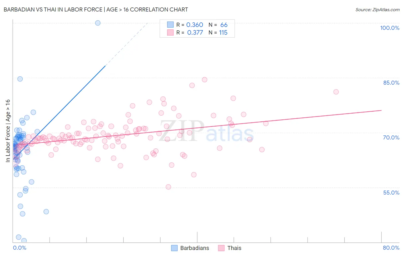 Barbadian vs Thai In Labor Force | Age > 16