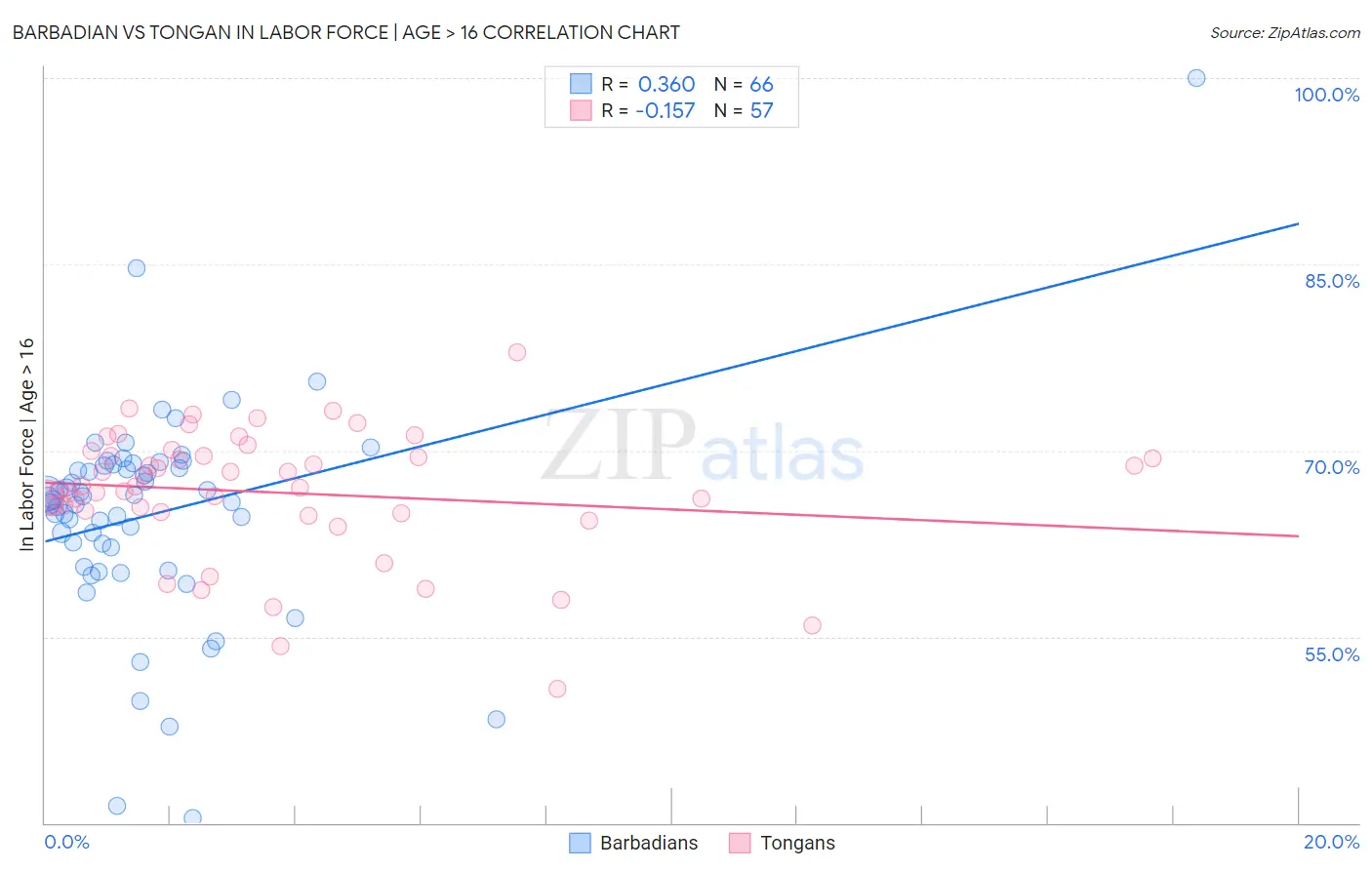 Barbadian vs Tongan In Labor Force | Age > 16