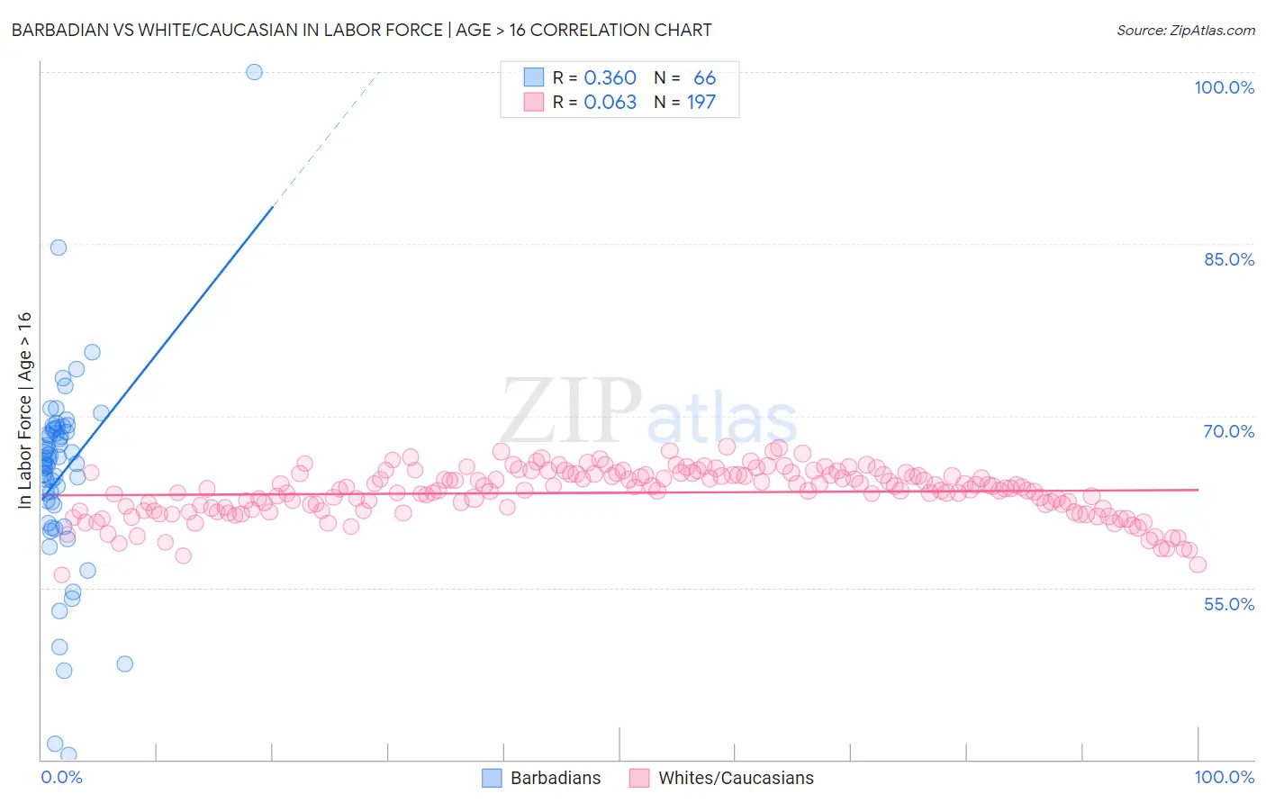 Barbadian vs White/Caucasian In Labor Force | Age > 16