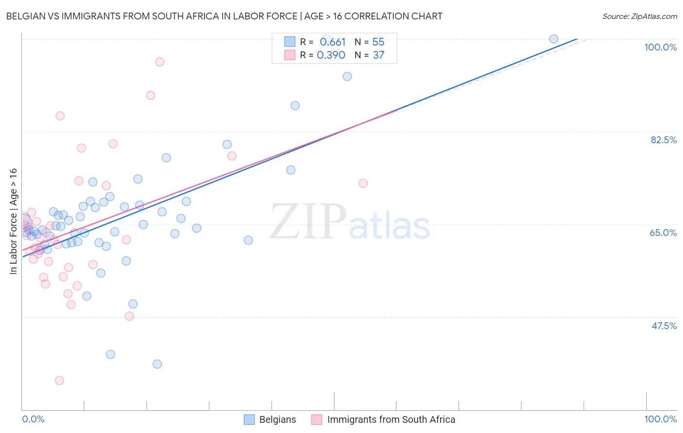 Belgian vs Immigrants from South Africa In Labor Force | Age > 16