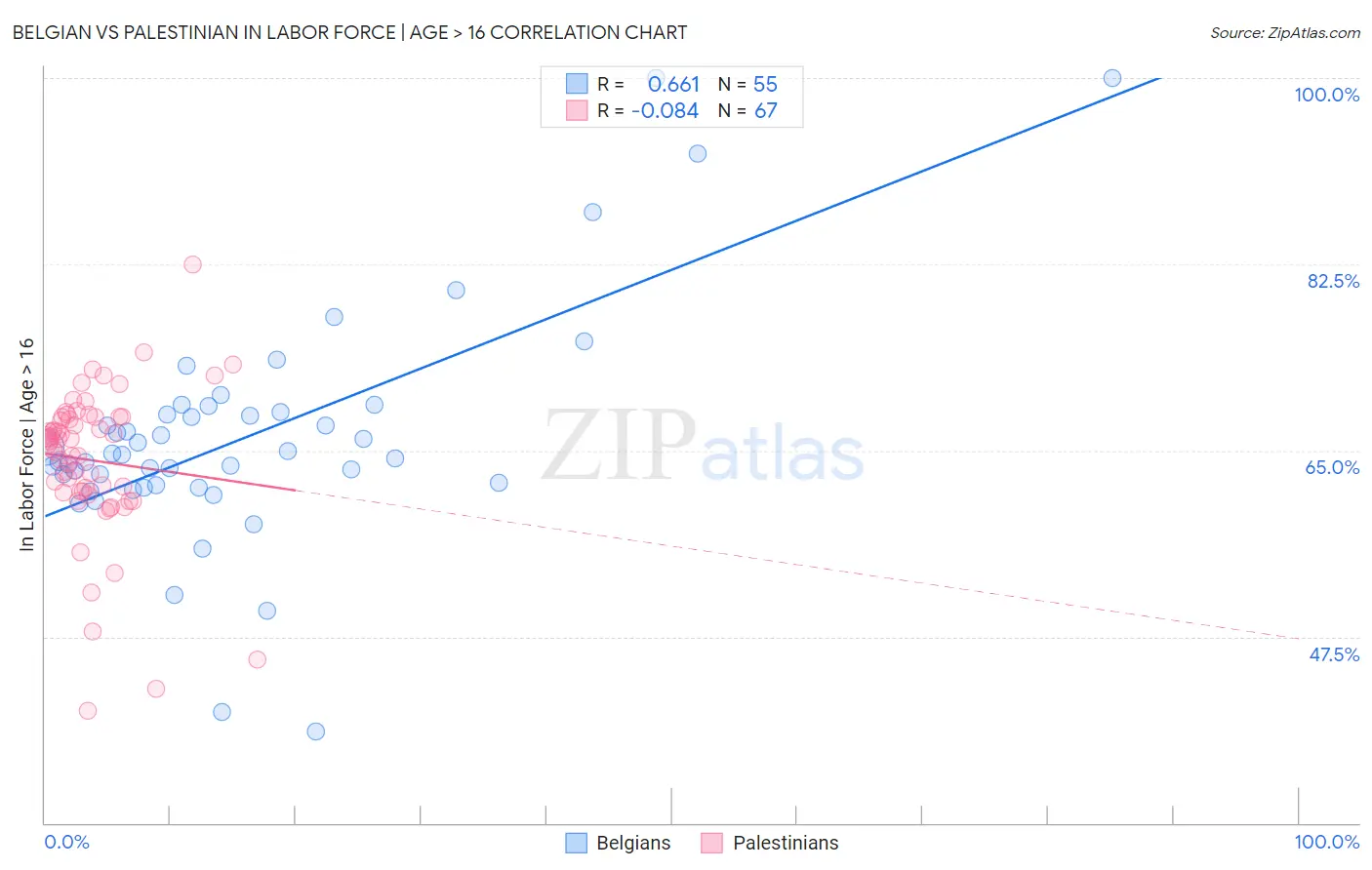 Belgian vs Palestinian In Labor Force | Age > 16