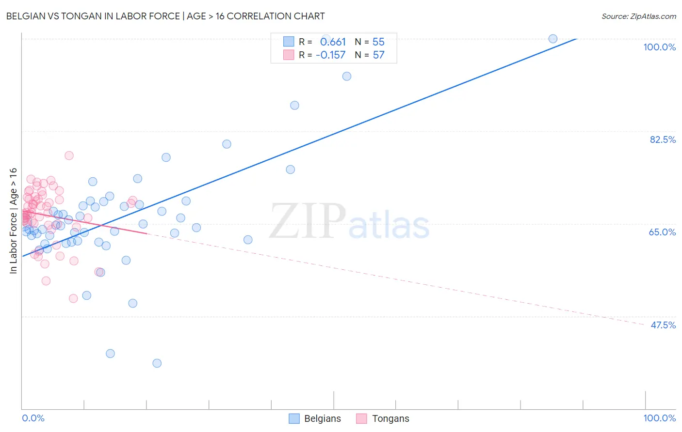 Belgian vs Tongan In Labor Force | Age > 16