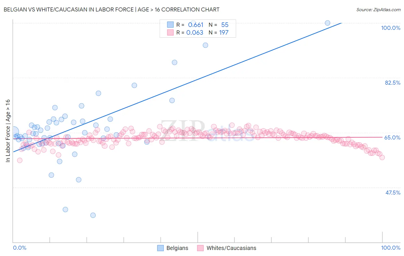 Belgian vs White/Caucasian In Labor Force | Age > 16