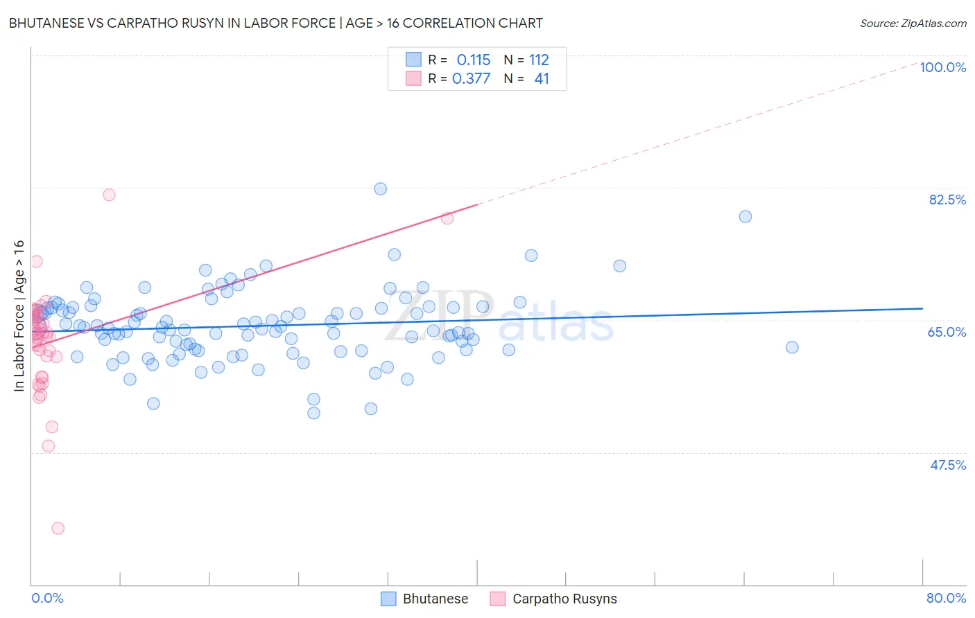 Bhutanese vs Carpatho Rusyn In Labor Force | Age > 16