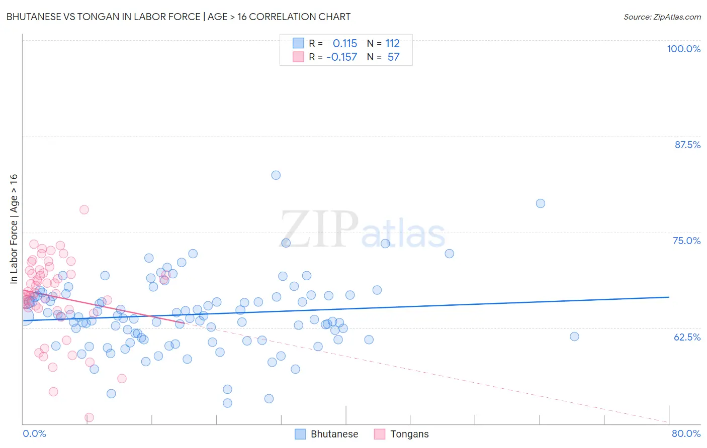 Bhutanese vs Tongan In Labor Force | Age > 16