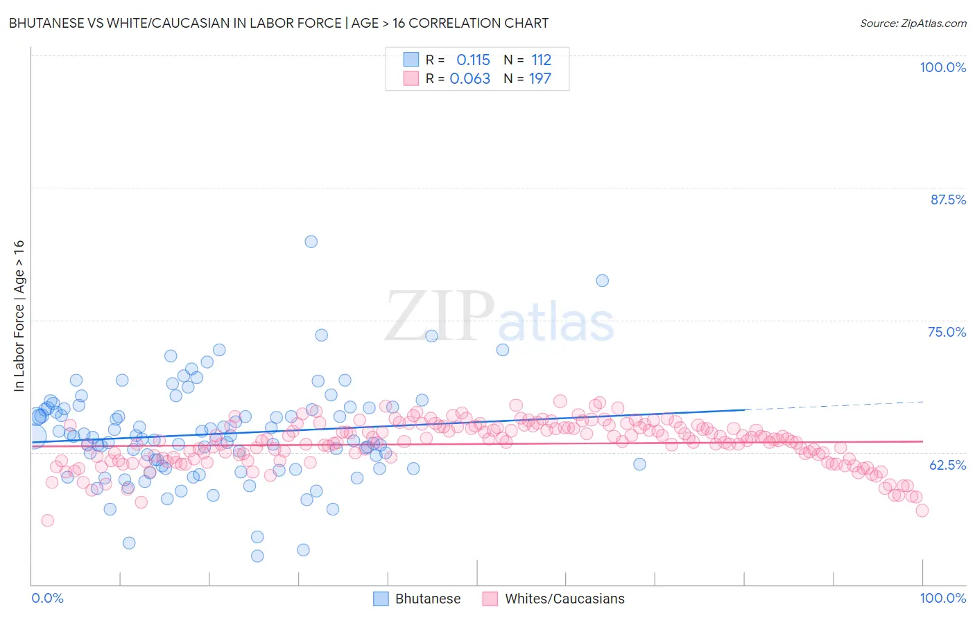 Bhutanese vs White/Caucasian In Labor Force | Age > 16