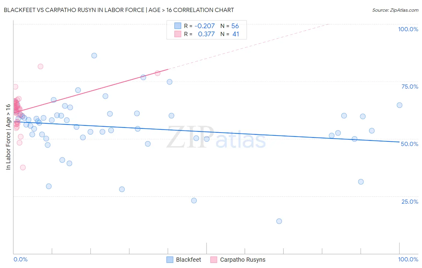 Blackfeet vs Carpatho Rusyn In Labor Force | Age > 16