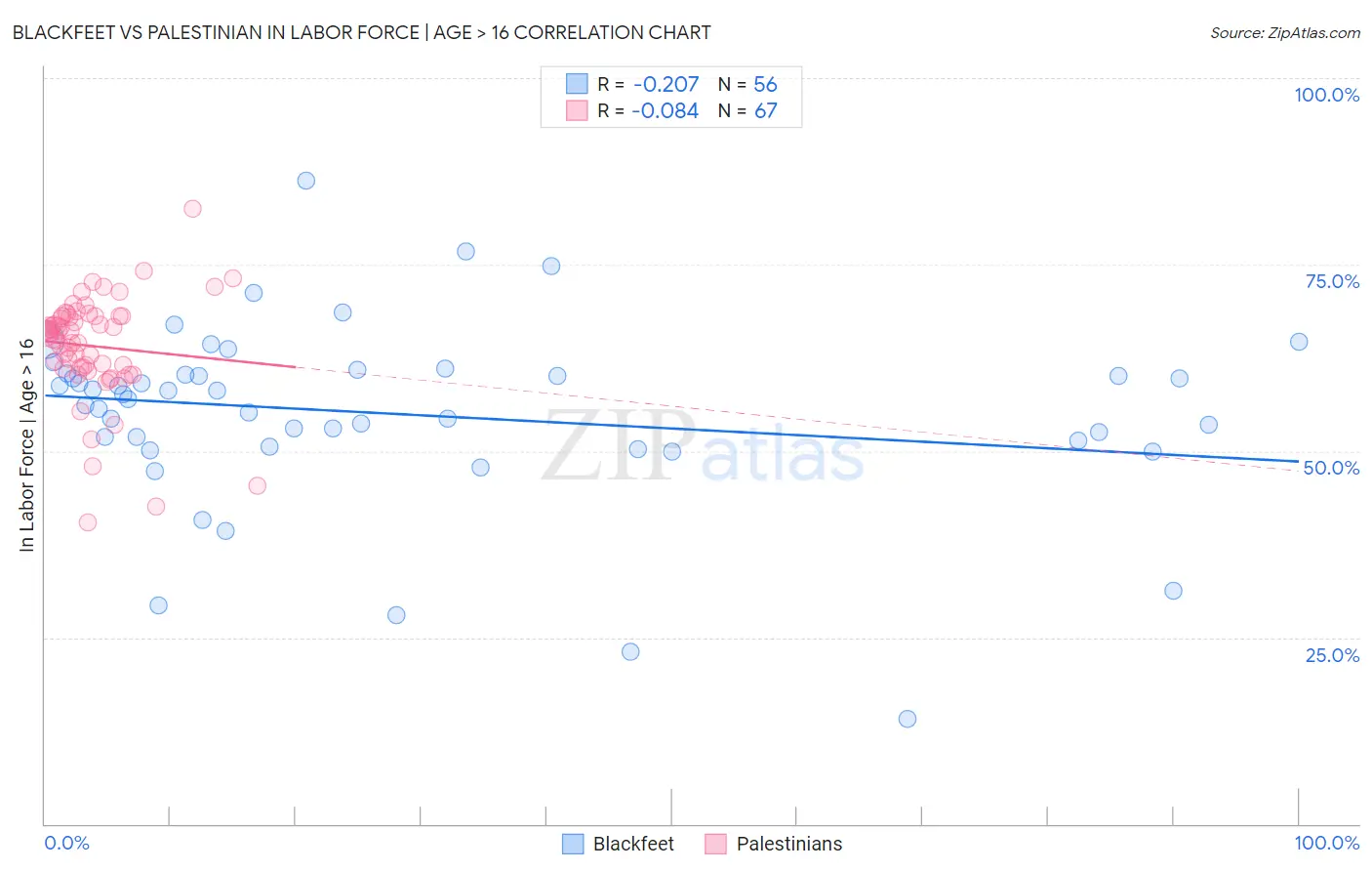 Blackfeet vs Palestinian In Labor Force | Age > 16