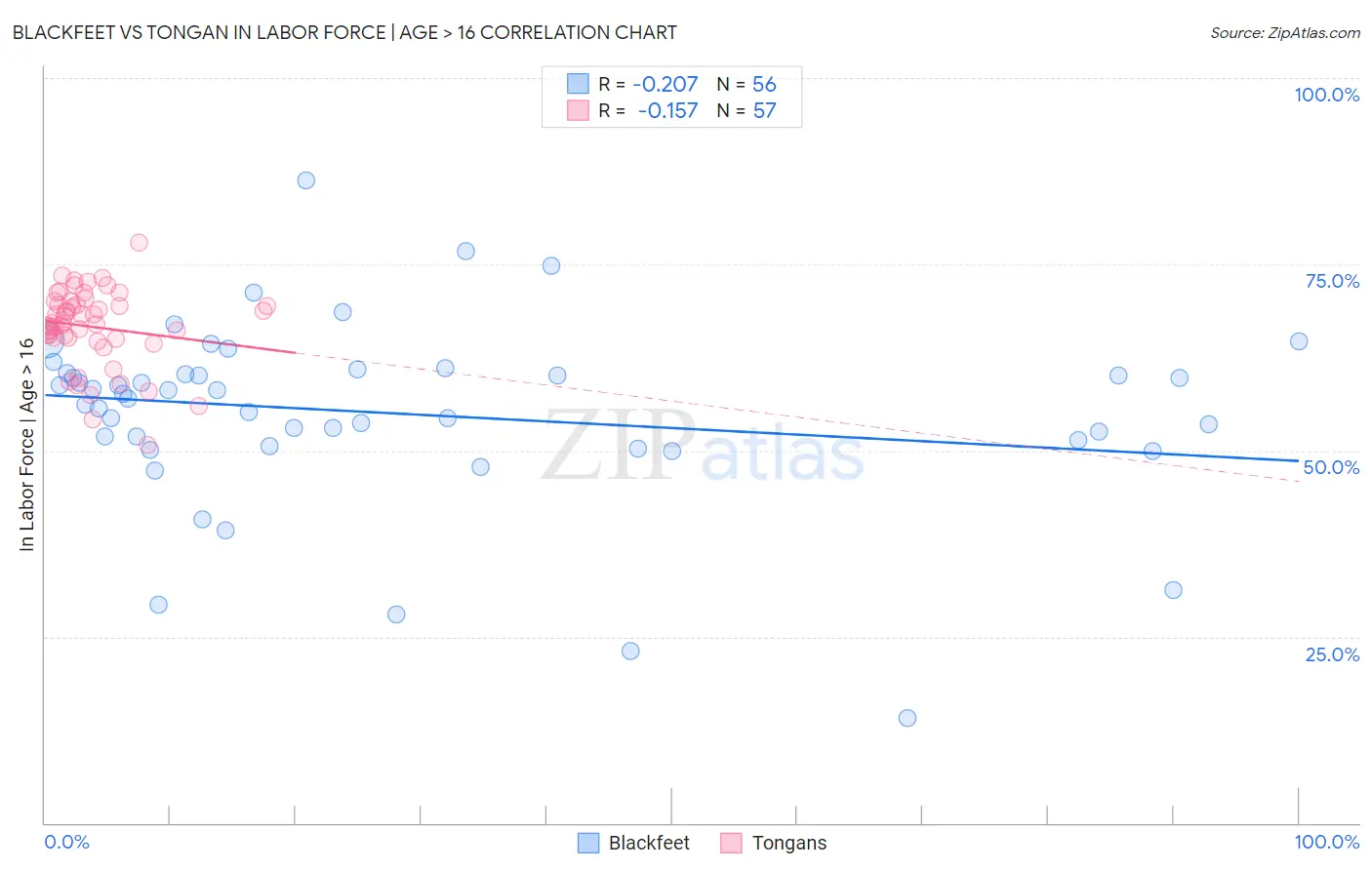 Blackfeet vs Tongan In Labor Force | Age > 16