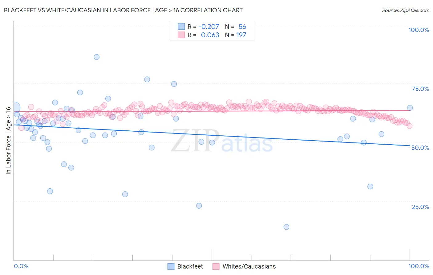 Blackfeet vs White/Caucasian In Labor Force | Age > 16