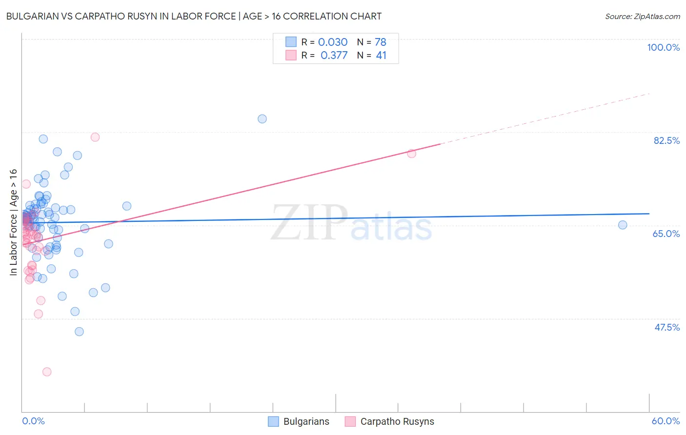 Bulgarian vs Carpatho Rusyn In Labor Force | Age > 16