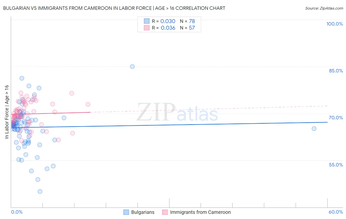Bulgarian vs Immigrants from Cameroon In Labor Force | Age > 16
