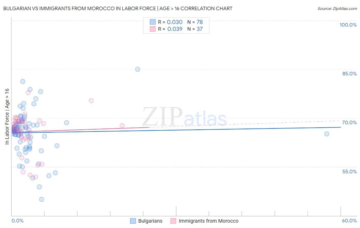 Bulgarian vs Immigrants from Morocco In Labor Force | Age > 16