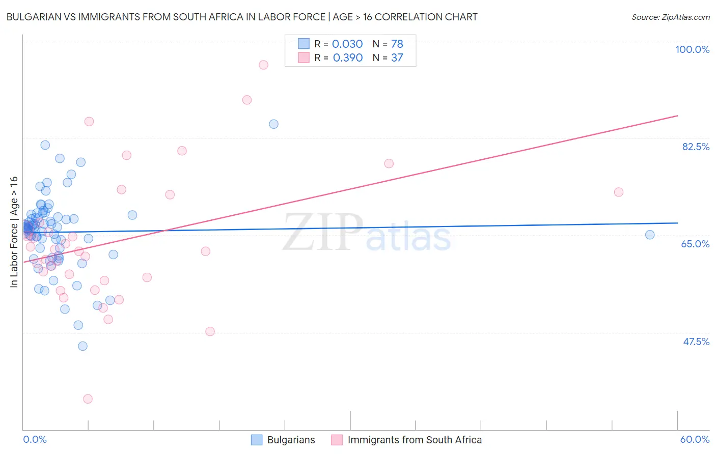 Bulgarian vs Immigrants from South Africa In Labor Force | Age > 16