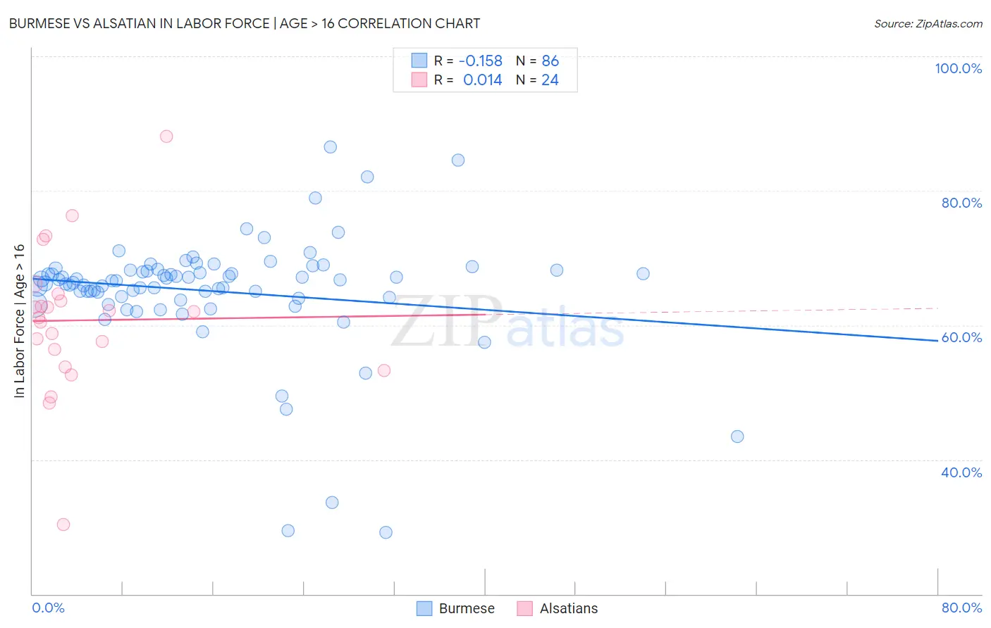 Burmese vs Alsatian In Labor Force | Age > 16