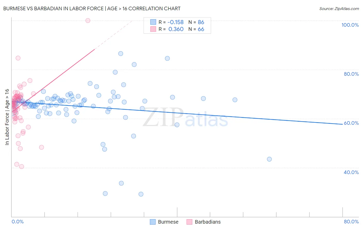 Burmese vs Barbadian In Labor Force | Age > 16