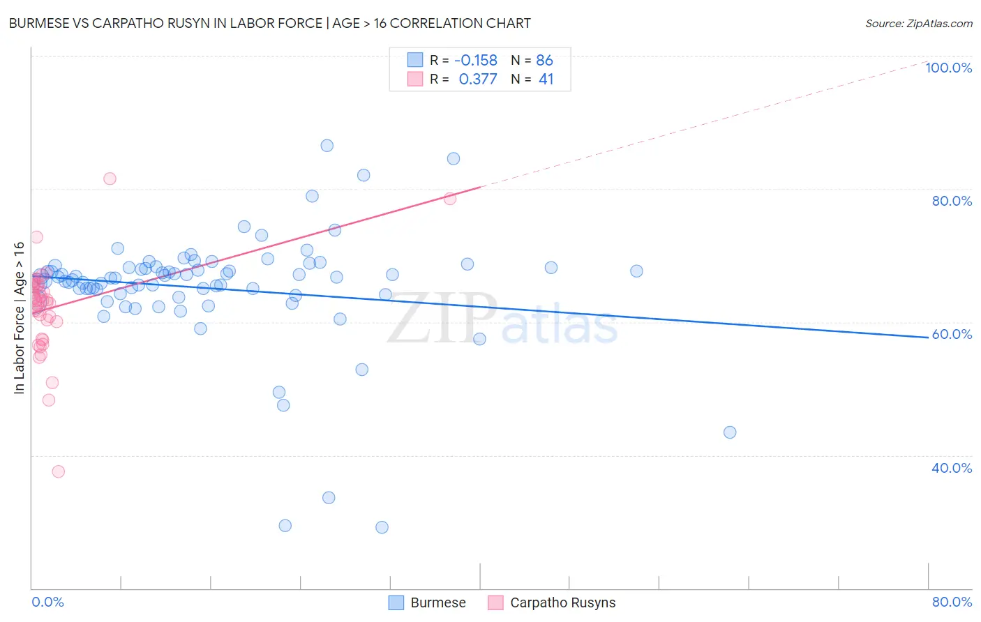 Burmese vs Carpatho Rusyn In Labor Force | Age > 16