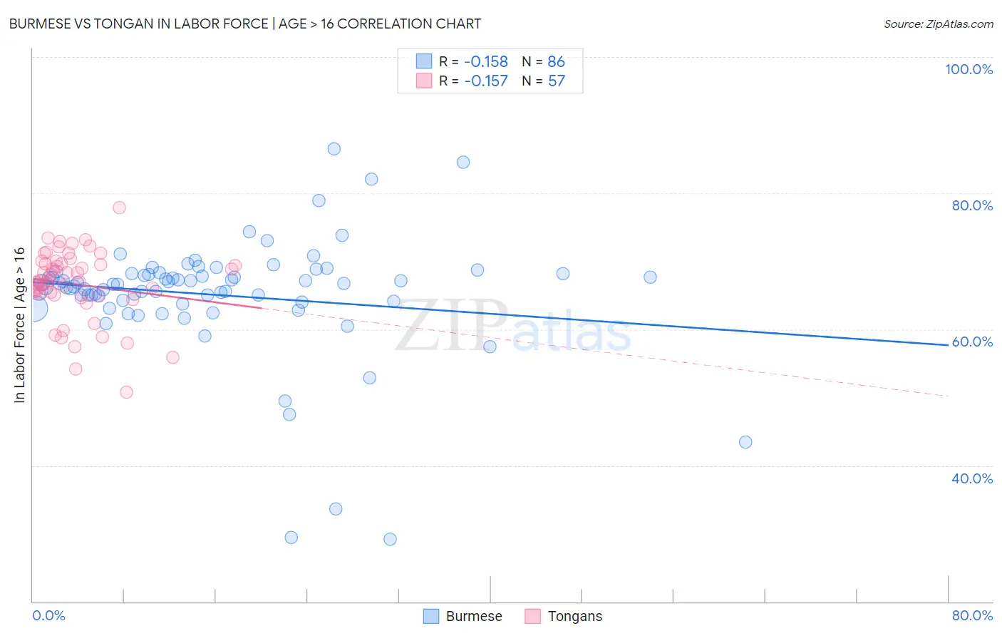 Burmese vs Tongan In Labor Force | Age > 16